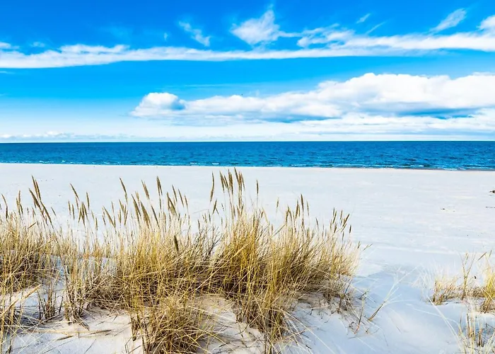 Σπίτι διακοπών Baltic Family Premium